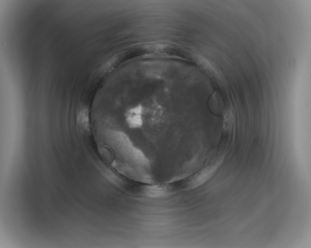 X0000111580238200907301412