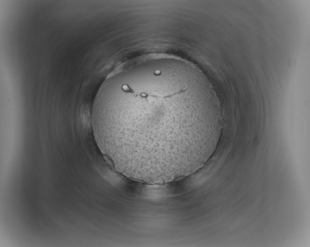 X0000111580240200907301412