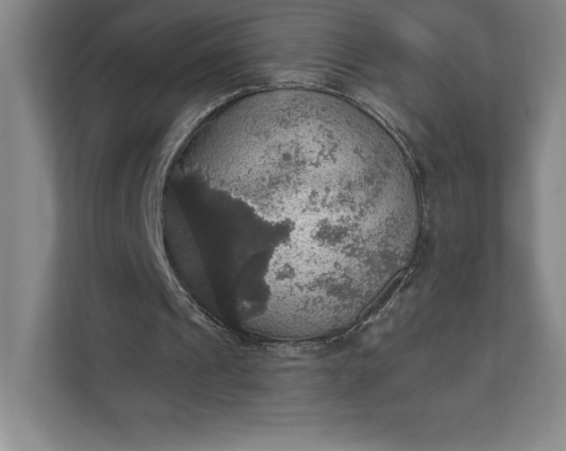 X0000111580241200907301411