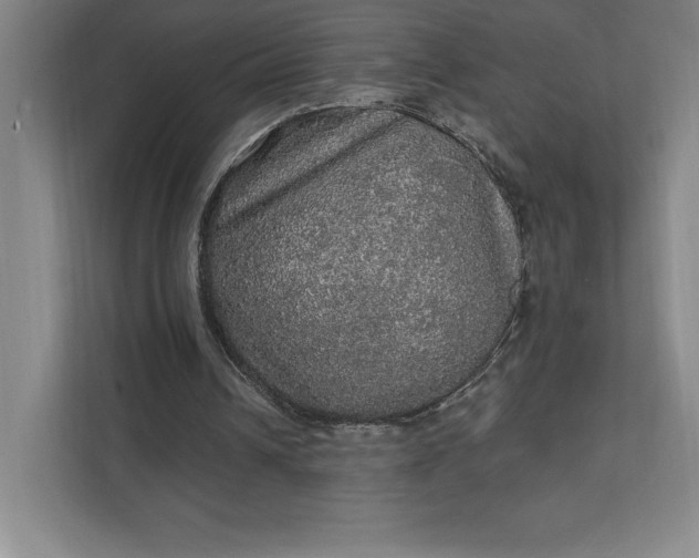 X0000111580242200907301411