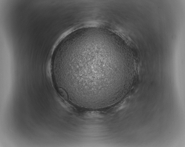 X0000111580244200907301411