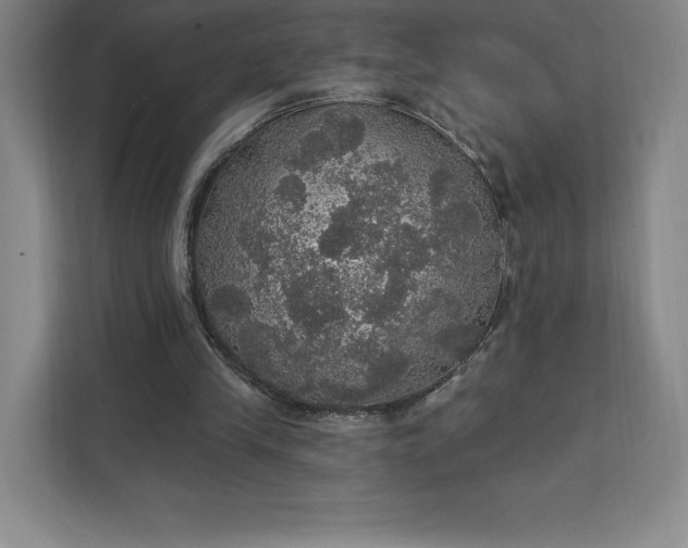 X0000111580245200907301411