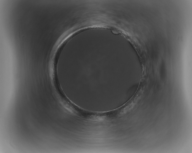 X0000111580247200907301411