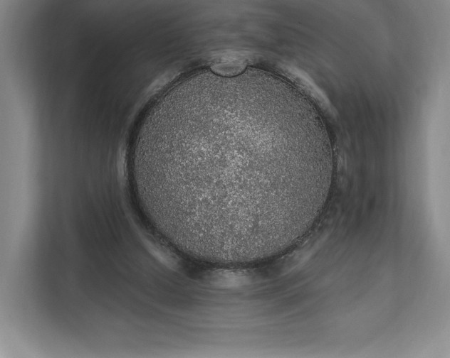 X0000111580250200907301411