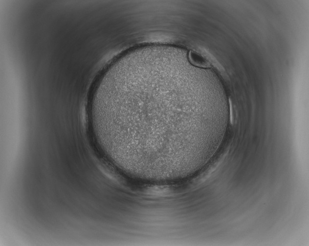 X0000111580252200907301411