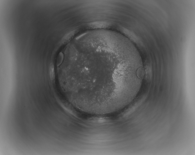 X0000111580254200907301411