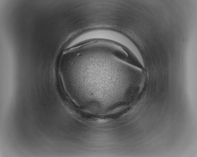 X0000111580256200907301411