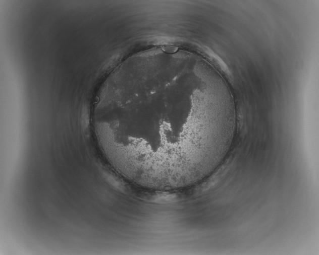 X0000111580257200907301411