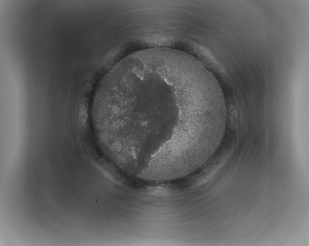 X0000111580259200907301411