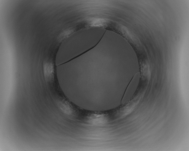 X0000111580260200907301411