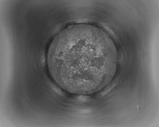 X0000111580261200907301411