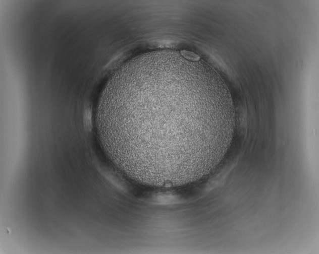 X0000111580262200907301411