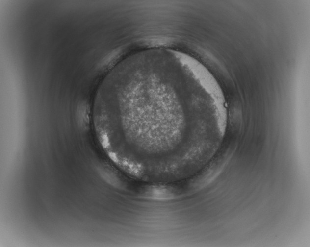 X0000111580264200907301411