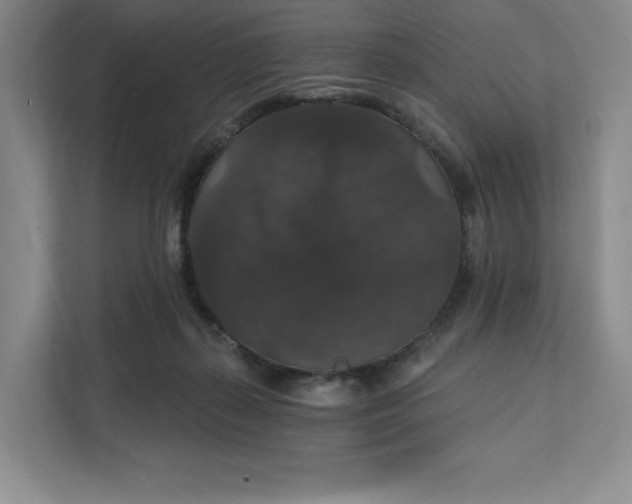 X0000111580267200907301411