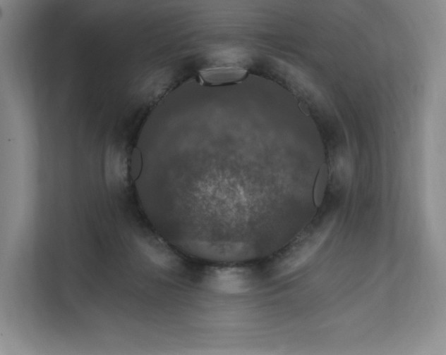 X0000111580268200907301411