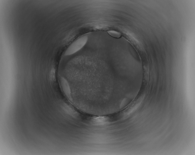 X0000111580269200907301411