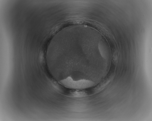 X0000111580270200907301411