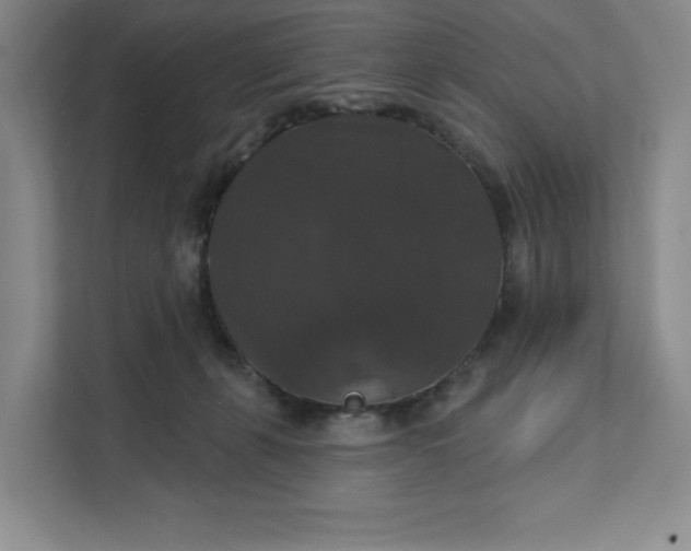 X0000111580271200907301411