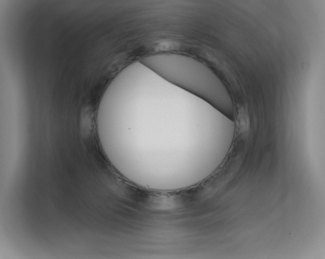 X0000111580276200907301412