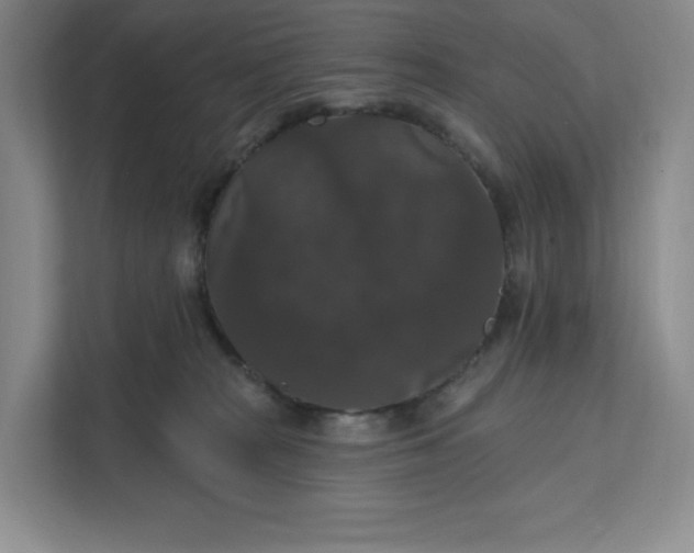 X0000111580277200907301412