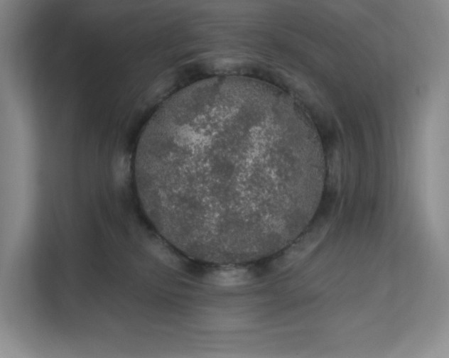 X0000111580278200907301412