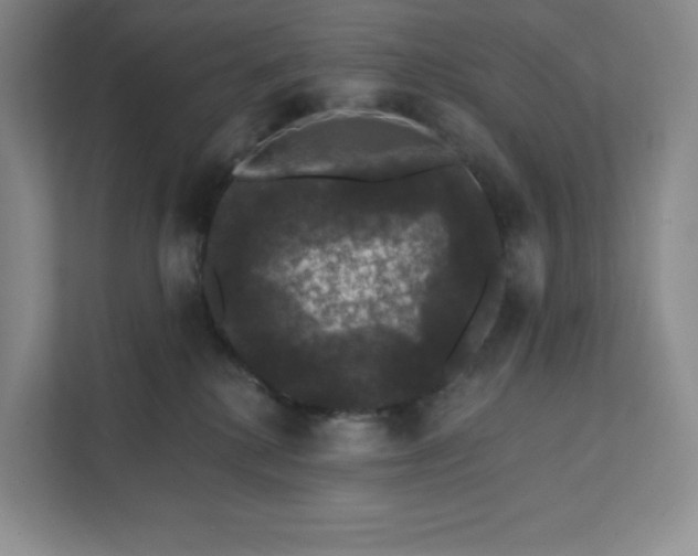 X0000111580280200907301412