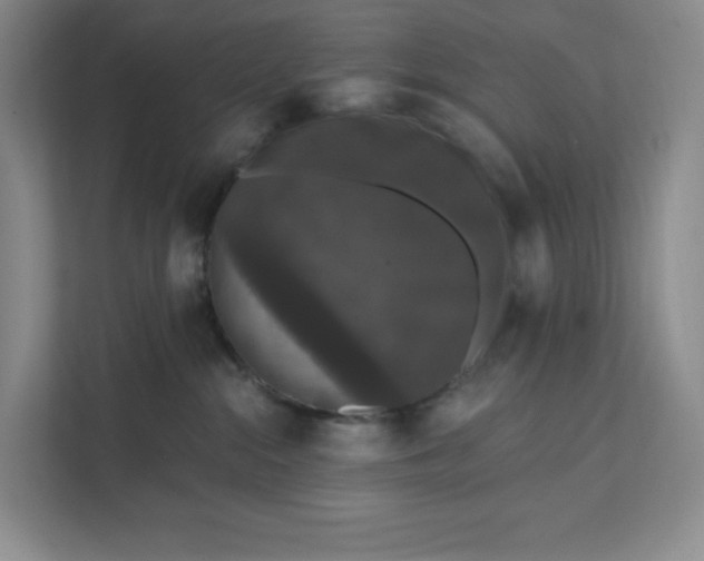 X0000111580284200907301412