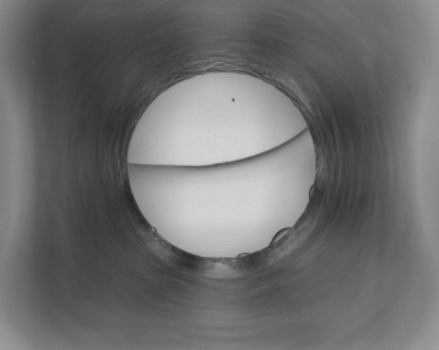 X0000111580285200907301412