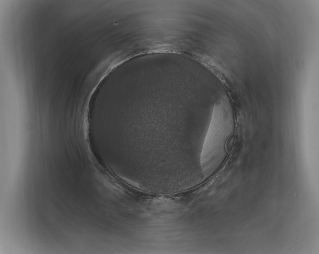 X0000111580290200907301411