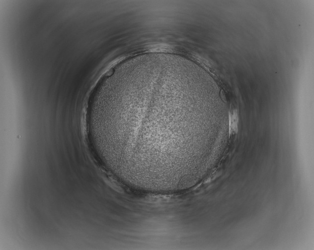 X0000111580291200907301411