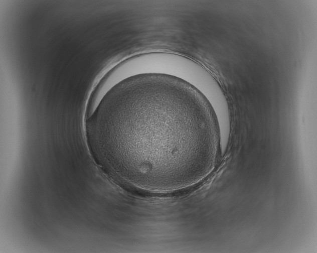 X0000111580292200907301411