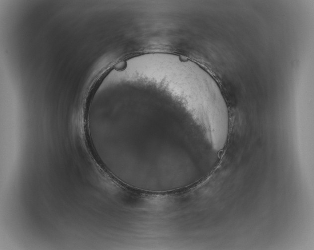 X0000111580293200907301411