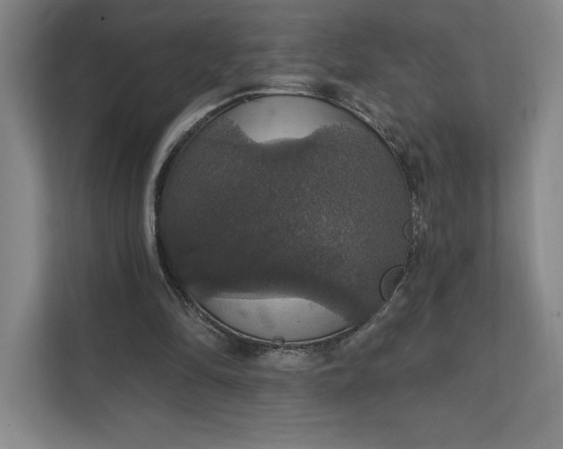 X0000111580294200907301411