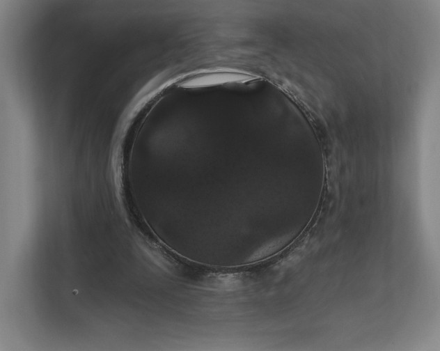 X0000111580295200907301411