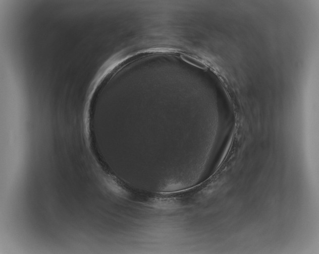 X0000111580296200907301411