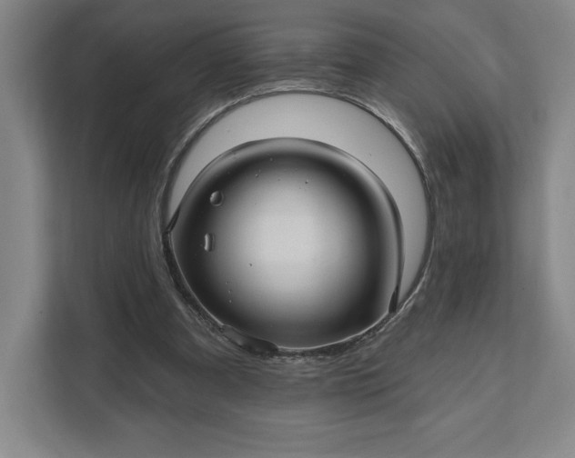 X0000111580297200907301411