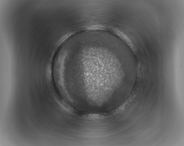 X0000111580298200907301411