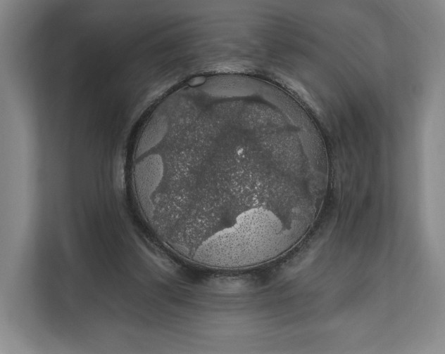 X0000111580299200907301411