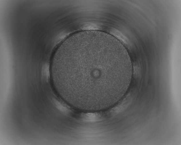 X0000111580302200907301411