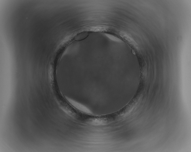 X0000111580303200907301411