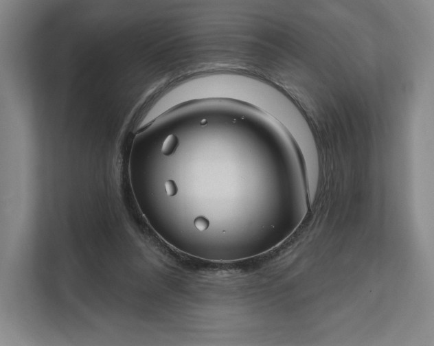 X0000111580304200907301411