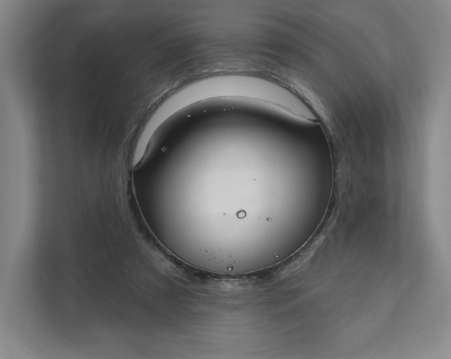 X0000111580305200907301411