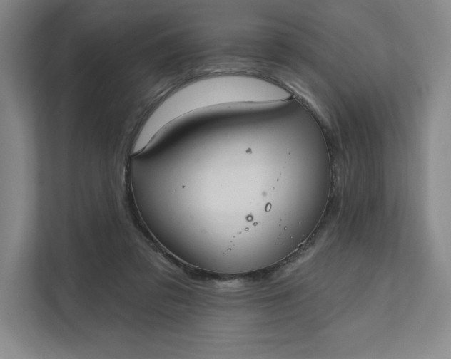 X0000111580309200907301411