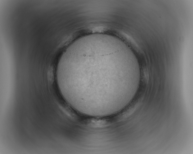 X0000111580311200907301411