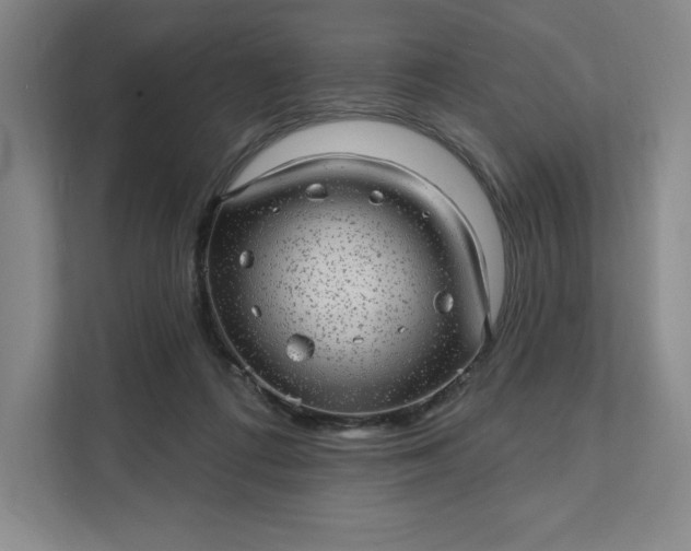 X0000111580312200907301411