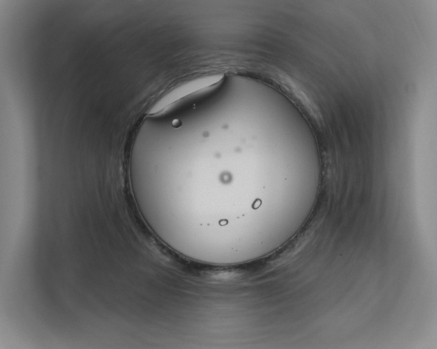 X0000111580313200907301411