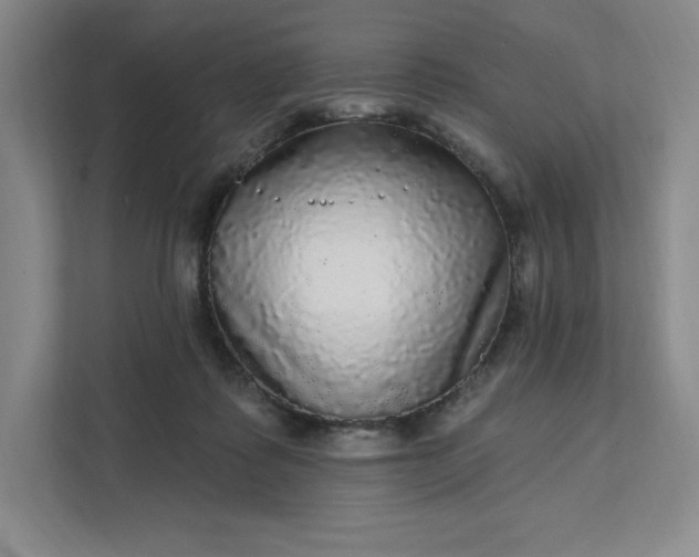 X0000111580315200907301411