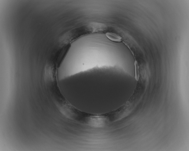 X0000111580316200907301411