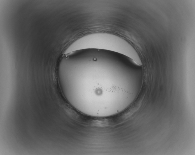 X0000111580317200907301411