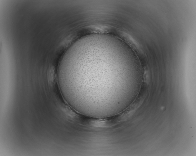 X0000111580318200907301411